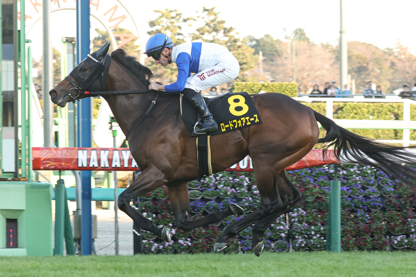 ロードフォアエース 2025年12月7日 中山11R・ラピスラズリS 優勝!