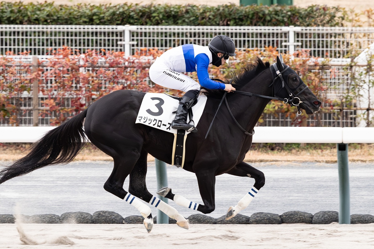 マジックローズ 2025年12月13日 中京8R・3歳上1勝クラス 優勝!