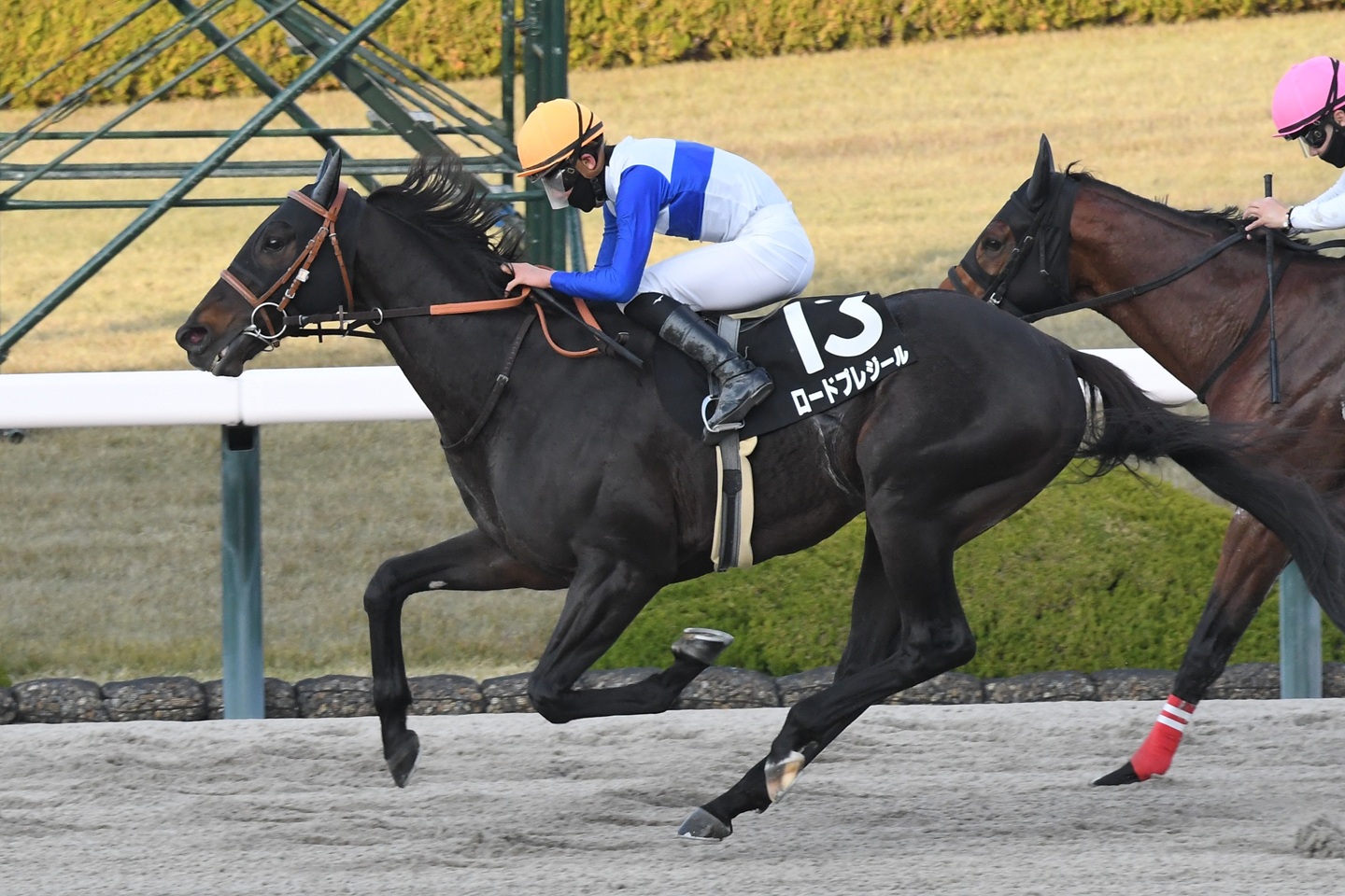 ロードプレジール 2025年12月14日 阪神10R・竹田城S 優勝!