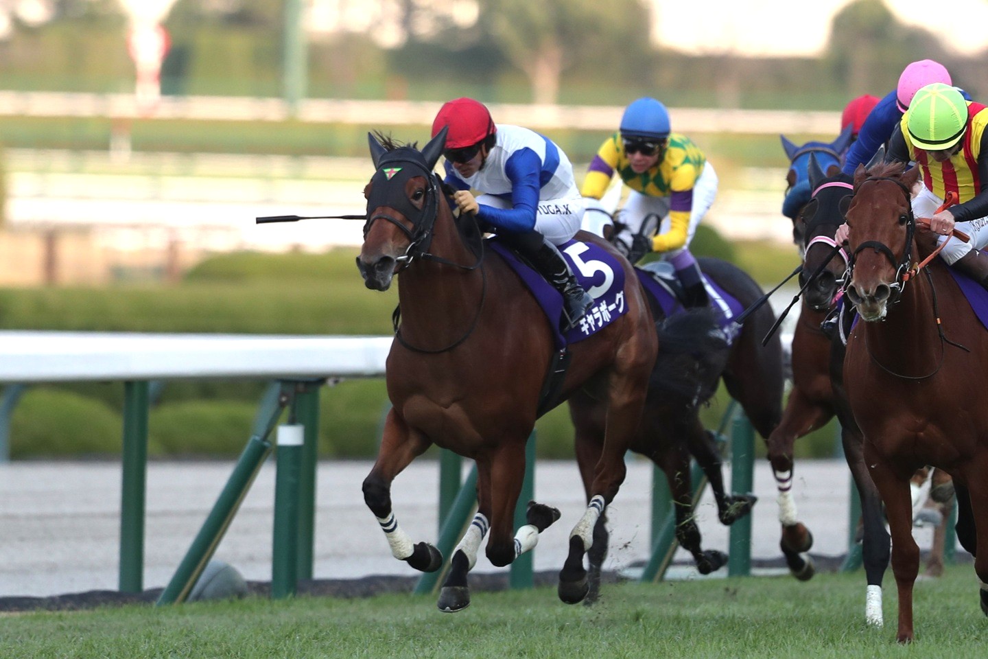 ギャラボーグ 2025年12月14日 阪神11R・阪神ジュベナイルフィリーズ 2着