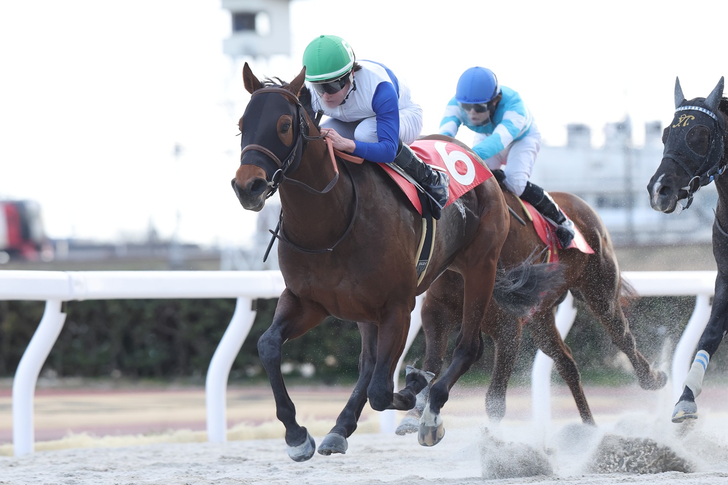 ロードヴェルテクス 2026年2月18日 笠松8R・加納宿特別 優勝!