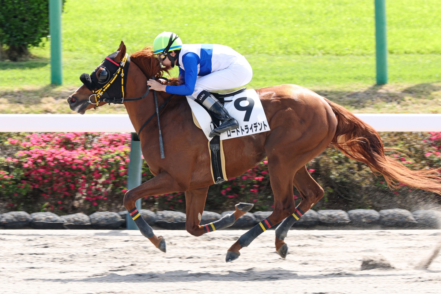 ロードトライデント 2026年4月12日 中山1R・3歳未勝利 優勝!